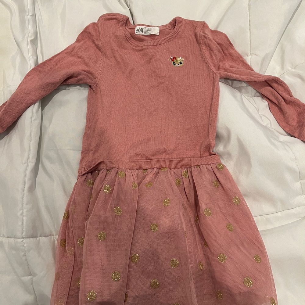 Pink tunic / tulle dress